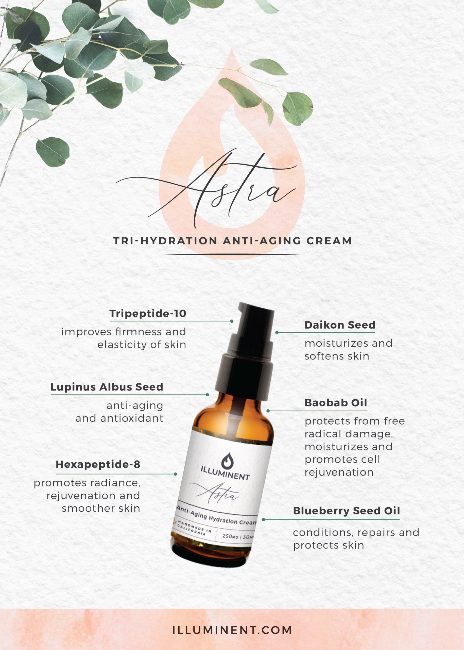 Astra Tri-Hydration Cream infographic