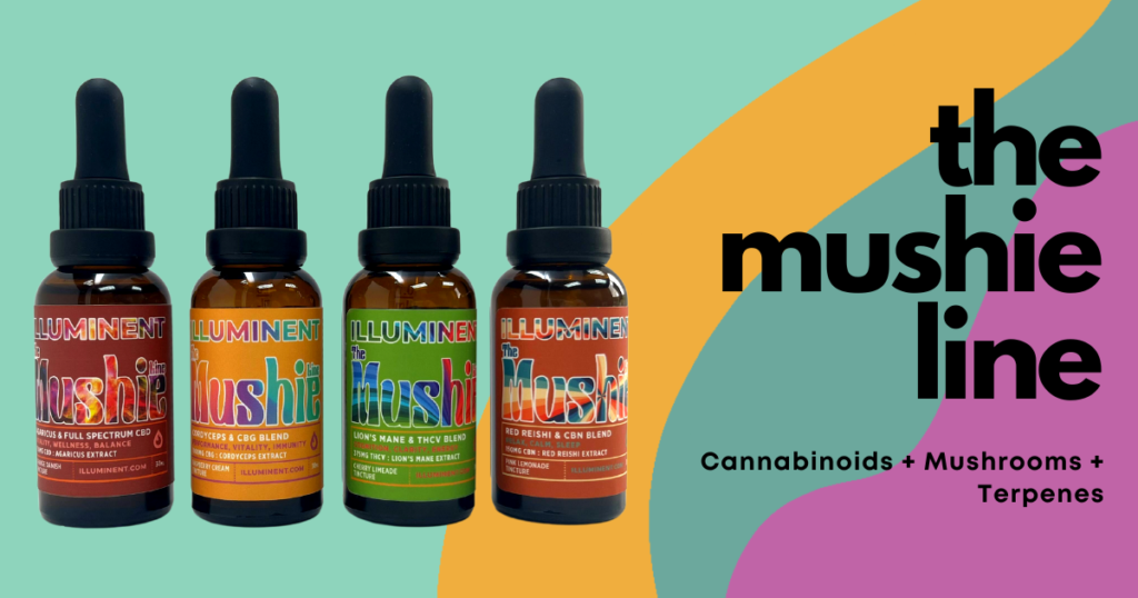 The Mushie Line all 4 tinctures