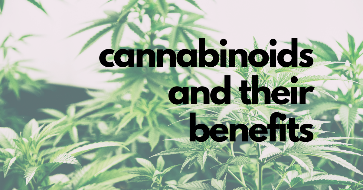 cannabinoids and their benefits