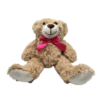 Valentines Stash Bear Pictures