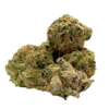 Purple Haze Flower 1