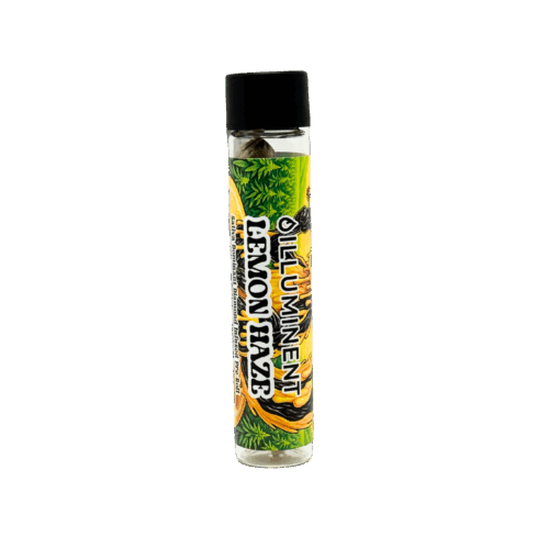Lemon Haze infused preroll picture