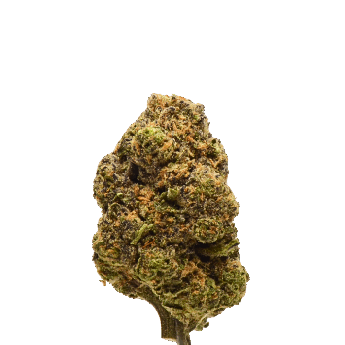 Tangerine Sunrise 4 Gram Jar - Image 2