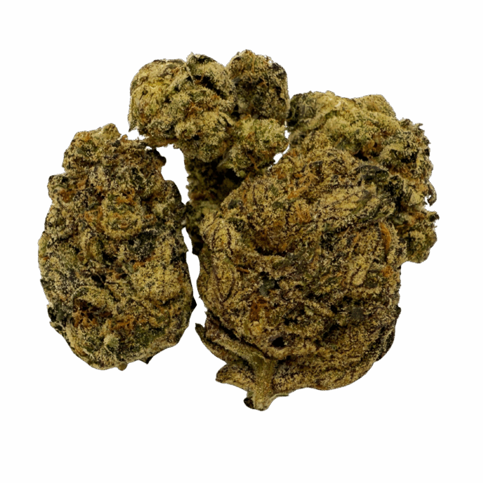 churro gelato flower
