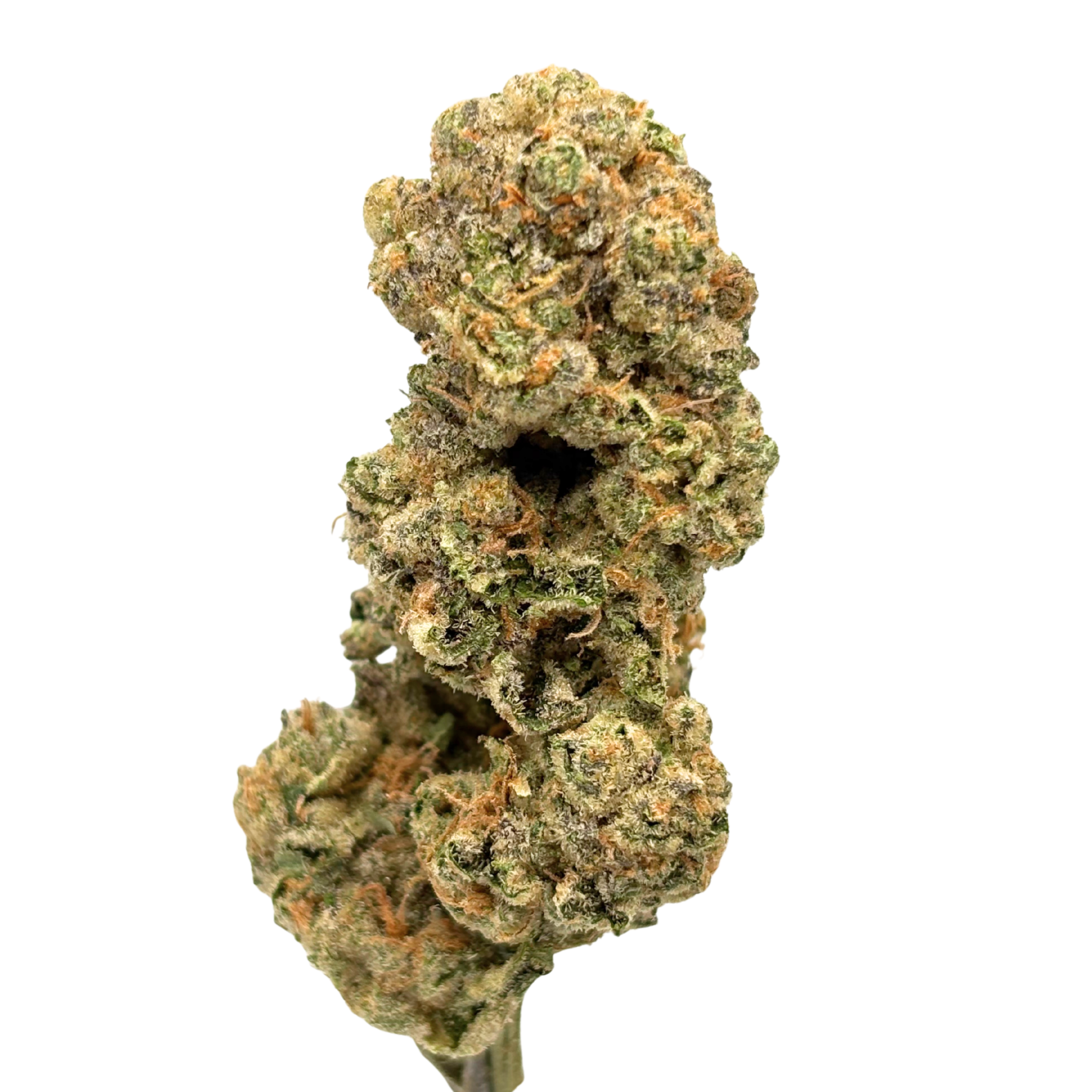 sour joker flower