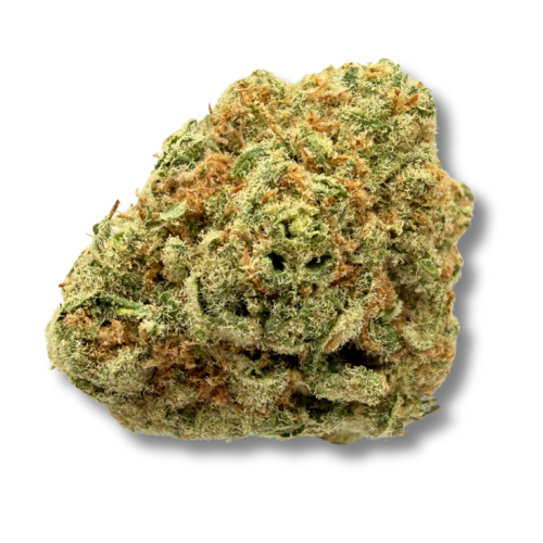 Durban Poison Flower
