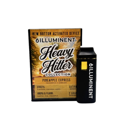 Pineapple Express 2g Disposable
