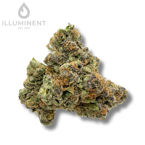 Super Lemon Cherry (1)