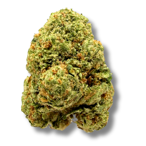 Gelato 41 Flower Picture