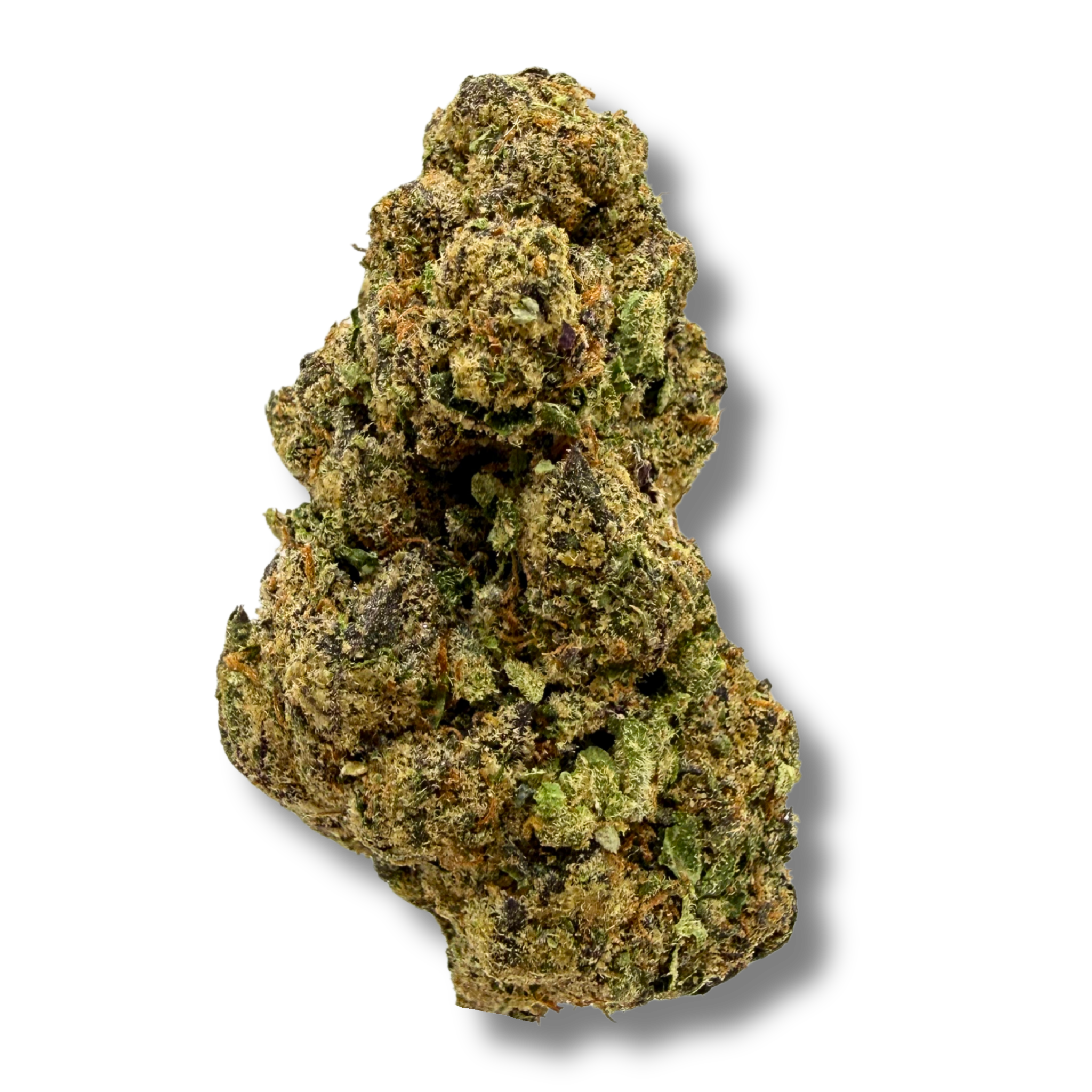 Purple Tesla | Indica