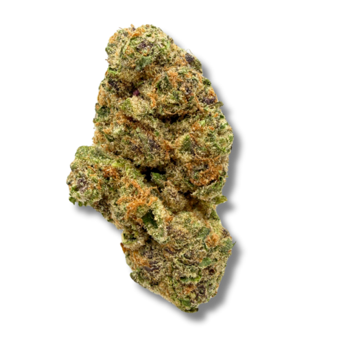 Raspberry Cough Flower imAGE