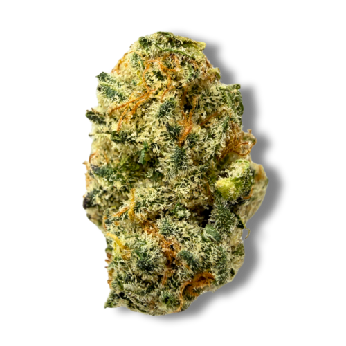 Strawberry Fritter Smalls Flower Image