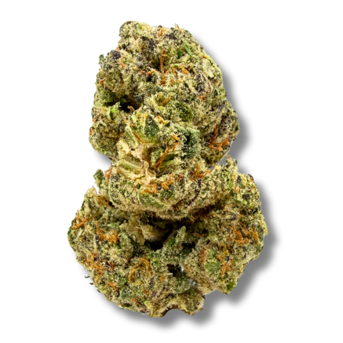 Versace Flower Image